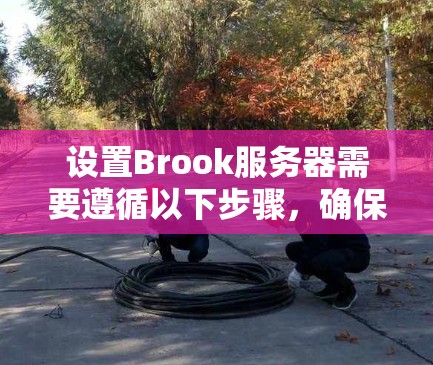 设置Brook服务器需要遵循以下步骤，确保服务器正常运行并符合安全要求