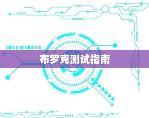 布罗克测试指南