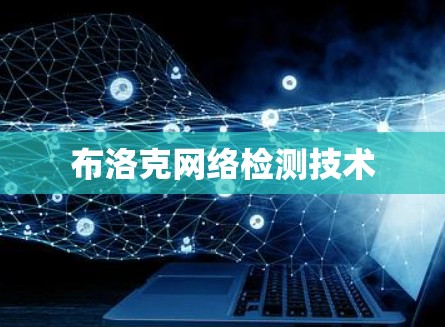 布洛克网络检测技术