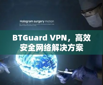 BTGuard VPN，高效安全网络解决方案