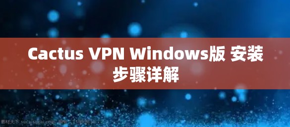 Cactus VPN Windows版 安装步骤详解