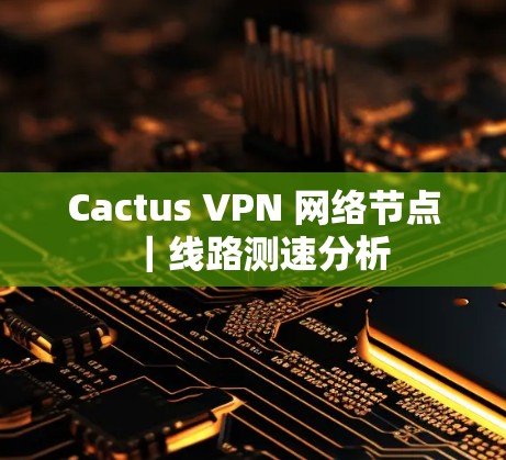 Cactus VPN 网络节点｜线路测速分析