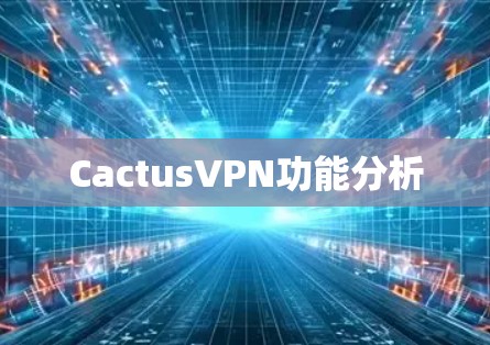 CactusVPN功能分析