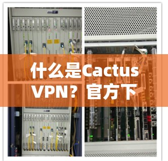 什么是CactusVPN？官方下载指南