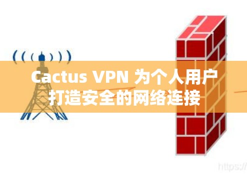 Cactus VPN 为个人用户打造安全的网络连接