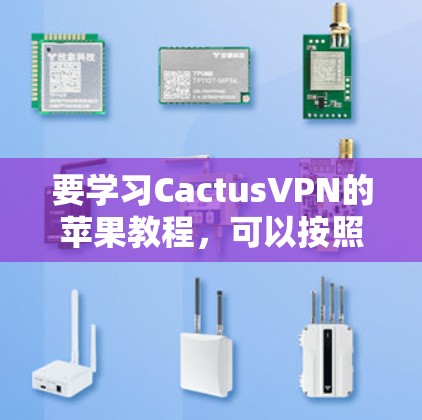 要学习CactusVPN的苹果教程，可以按照以下步骤进行
