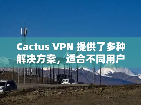 Cactus VPN 提供了多种解决方案，适合不同用户的需求。以下是几种替代方案的介绍，供您参考