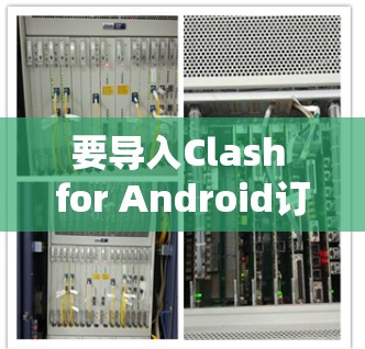要导入Clash for Android订阅到手机中，可以按照以下步骤操作