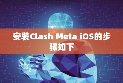 安装Clash Meta iOS的步骤如下