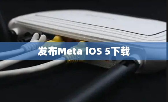 发布Meta iOS 5下载