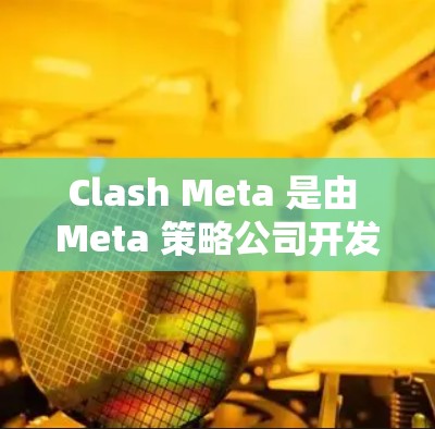Clash Meta 是由 Meta 策略公司开发的一个虚拟货币平台应用，旨在帮助用户建立虚拟账户并进行交易。以下是安装 Clash Meta 的指南