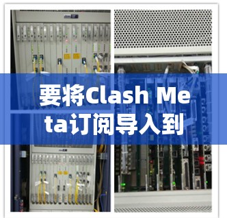 要将Clash Meta订阅导入到你的应用中，你需要根据你的平台和应用的需求进行调整。以下是几种常见情况下的方法