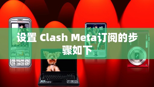 设置 Clash Meta订阅的步骤如下