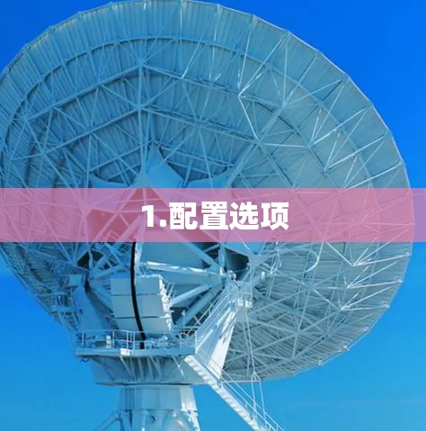 1.配置选项 1.配置选项