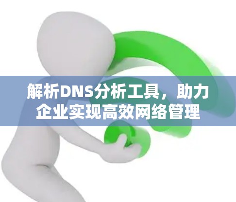 解析DNS分析工具，助力企业实现高效网络管理