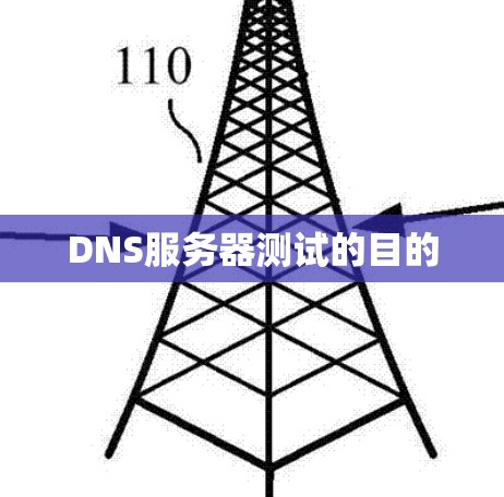 DNS服务器测试的目的