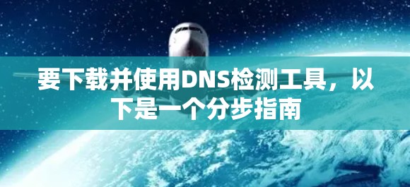 要下载并使用DNS检测工具，以下是一个分步指南