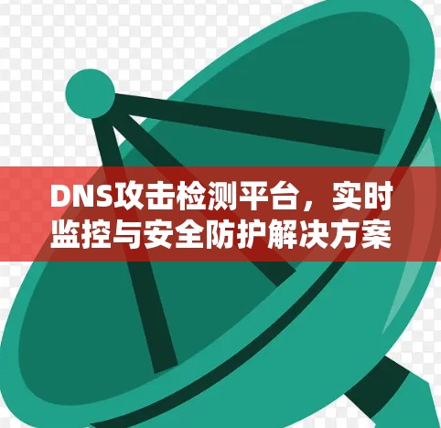 DNS攻击检测平台，实时监控与安全防护解决方案