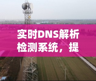 实时DNS解析检测系统,提升通信效率与可靠性 实时DNS解析检测系统,提升通信效率与可靠性