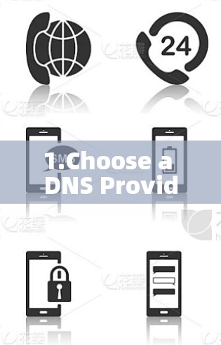 1.Choose a DNS Provider: