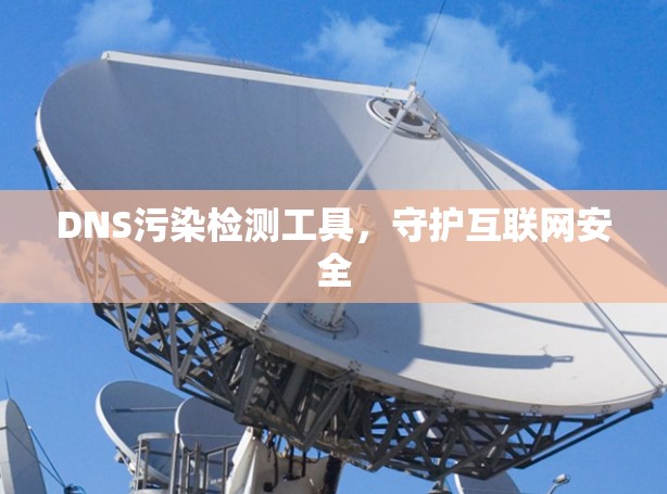 DNS污染检测工具，守护互联网安全