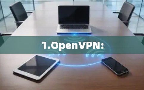 1.OpenVPN: 1.OpenVPN: