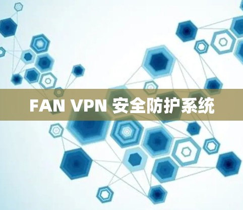 FAN VPN 安全防护系统 FAN VPN 安全防护系统