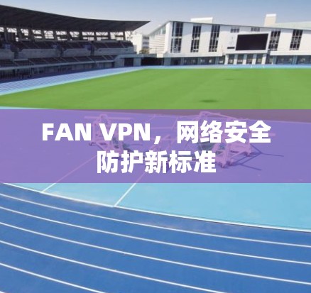 FAN VPN，网络安全防护新标准