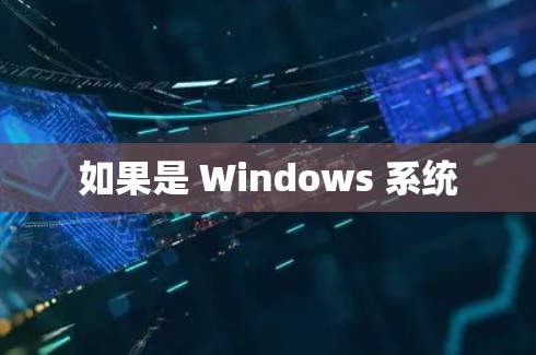如果是 Windows 系统 如果是 Windows 系统