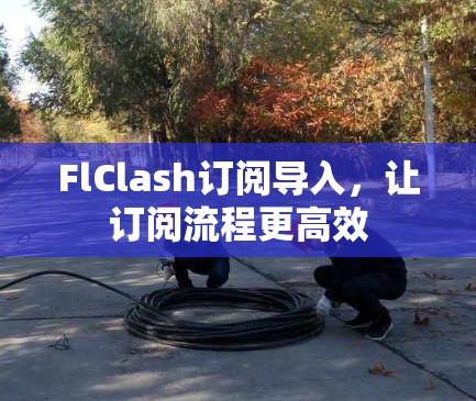 FlClash订阅导入,让订阅流程更高效 FlClash订阅导入,让订阅流程更高效