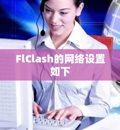 FlClash的网络设置如下 FlClash的网络设置如下