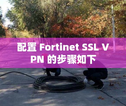 配置 Fortinet SSL VPN 的步骤如下 配置 Fortinet SSL VPN 的步骤如下