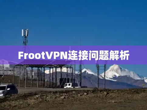 FrootVPN连接问题解析