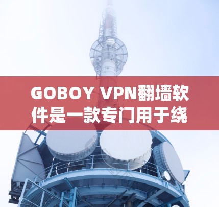 GOBOY VPN翻墙软件是一款专门用于绕过网络获取内容的翻墙软件，涵盖了免费版、专业版和专业版 Plus等多种版本。以下是对其的全面评测