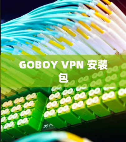 GOBOY VPN 安装包 GOBOY VPN 安装包