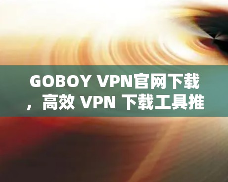 GOBOY VPN官网下载，高效 VPN 下载工具推荐