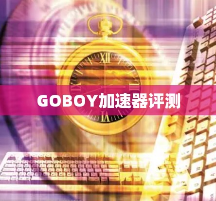 GOBOY加速器评测 GOBOY加速器评测