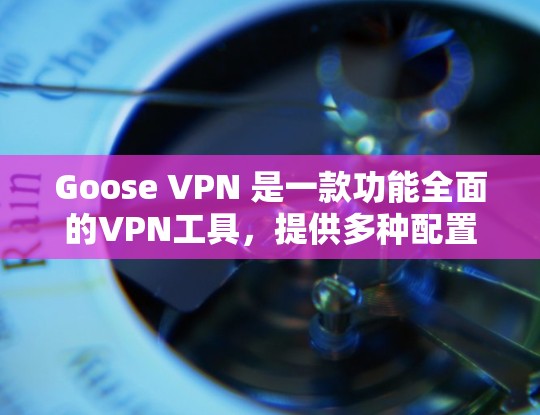 Goose VPN 是一款功能全面的VPN工具,提供多种配置选项和安全措施,适合在有限网络速度下进行VPN连接。以下是其功能评测的详细分析 Goose VPN 是一款功能全面的VPN工具,提供多种配置选项和安全措施,适合在有限网络速度下进行VPN连接。以下是其功能评测的详细分析
