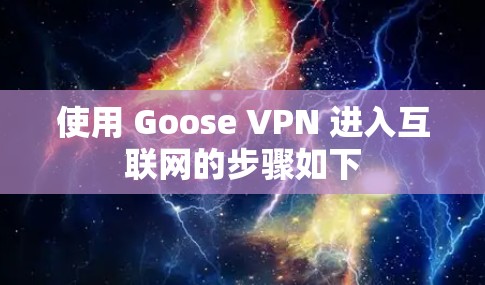 使用 Goose VPN 进入互联网的步骤如下 使用 Goose VPN 进入互联网的步骤如下