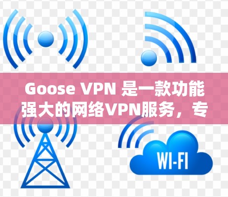 Goose VPN 是一款功能强大的网络VPN服务，专为用户设计科学的上网体验而优化。以下是一些关于 Goose VPN 科学上网方案的详细信息，涵盖配置、设置和使用等方面