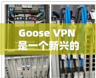 Goose VPN 是一个新兴的VPN服务，以其简洁的界面和创新的技术设计迅速崛起。尽管它在某些方面具有优势，但也存在一些不足之处。以下是对 Goose VPN 的评测和对VPN服务体验的分析