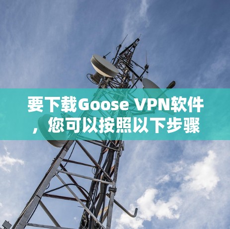 要下载Goose VPN软件，您可以按照以下步骤进行