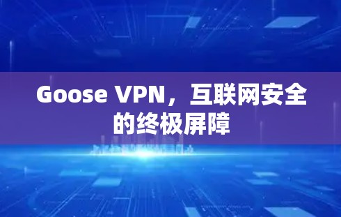 Goose VPN,互联网安全的终极屏障 Goose VPN,互联网安全的终极屏障