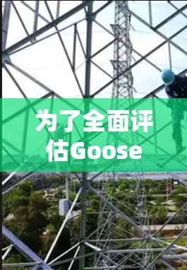 为了全面评估Goose VPN的速度性能,以下是详细的测试步骤和分析 为了全面评估Goose VPN的速度性能,以下是详细的测试步骤和分析