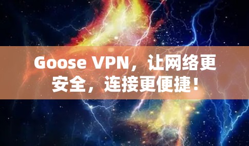 Goose VPN,让网络更安全,连接更便捷! Goose VPN,让网络更安全,连接更便捷!