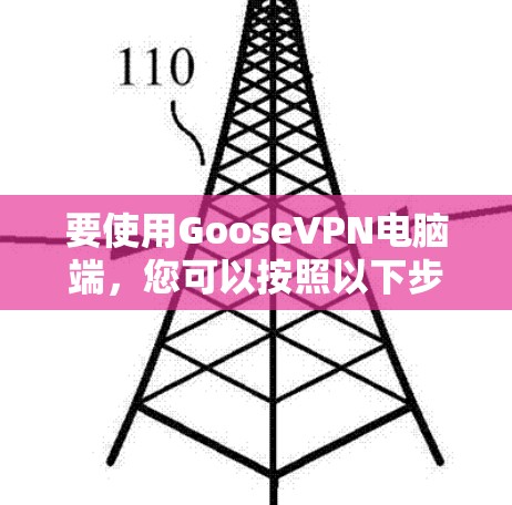 要使用GooseVPN电脑端，您可以按照以下步骤进行