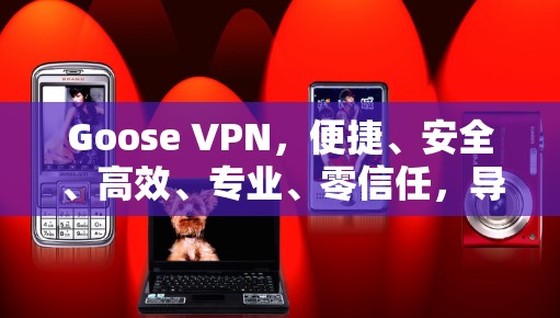 Goose VPN,便捷、安全、高效、专业、零信任,导航、实时、隐私、数据安全 Goose VPN,便捷、安全、高效、专业、零信任,导航、实时、隐私、数据安全