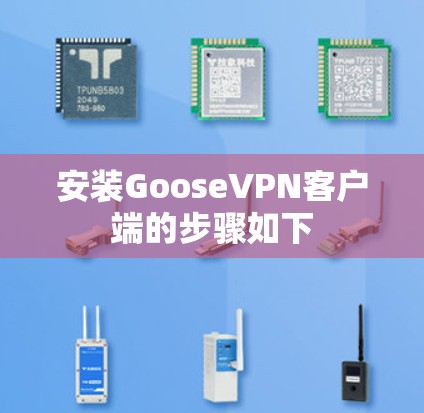 安装GooseVPN客户端的步骤如下