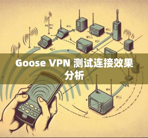 Goose VPN 测试连接效果分析 Goose VPN 测试连接效果分析
