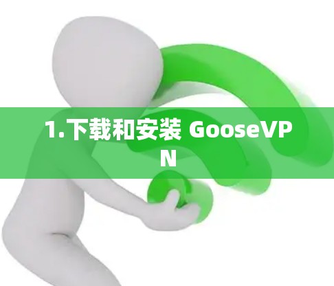 1.下载和安装 GooseVPN
